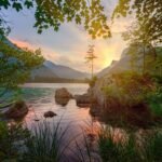 blog 1
