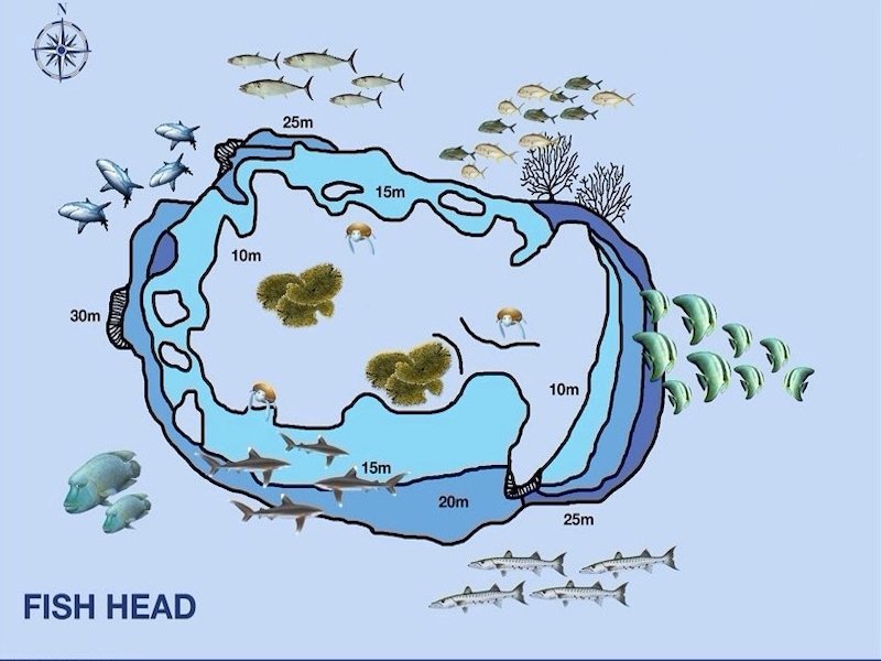 Fish Head dive site
