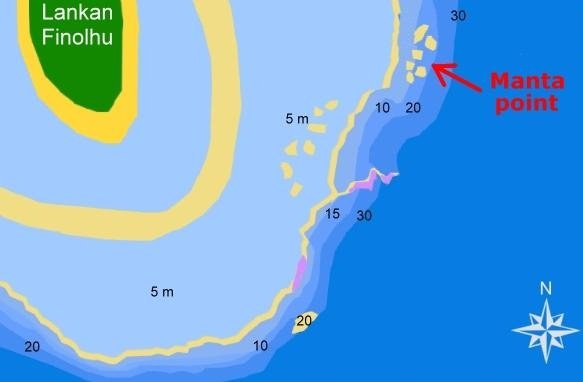 lankan-manta-point