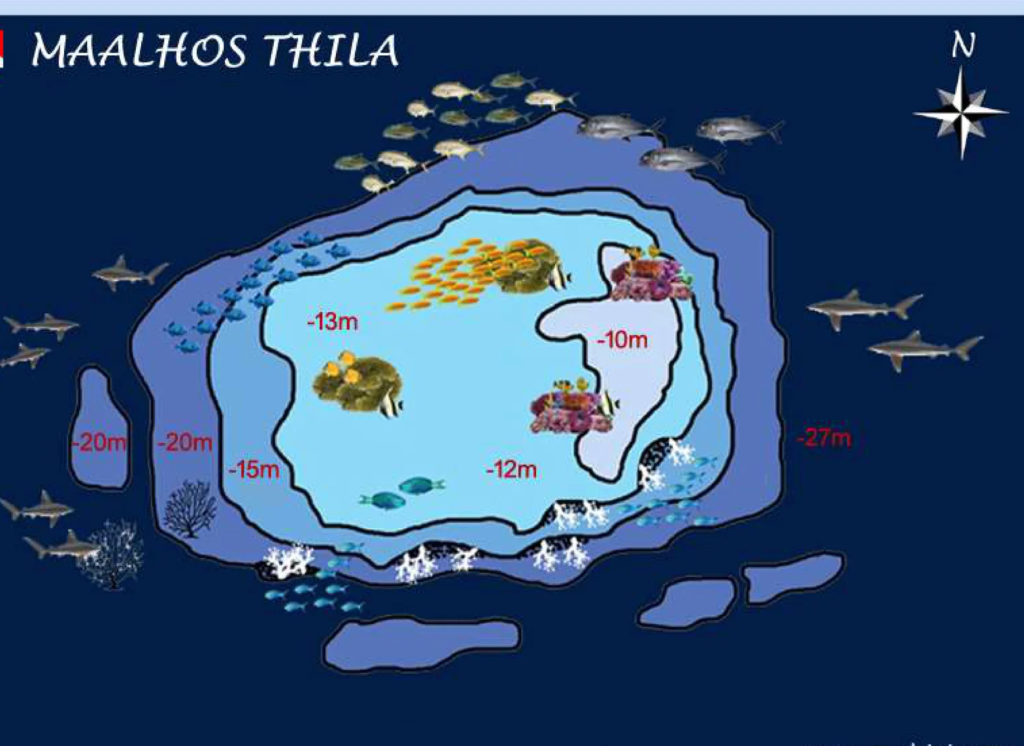 maya thila