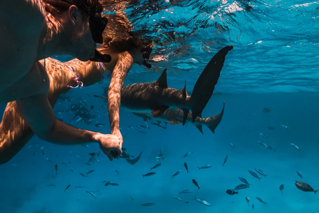 Snorkeling in Maldives