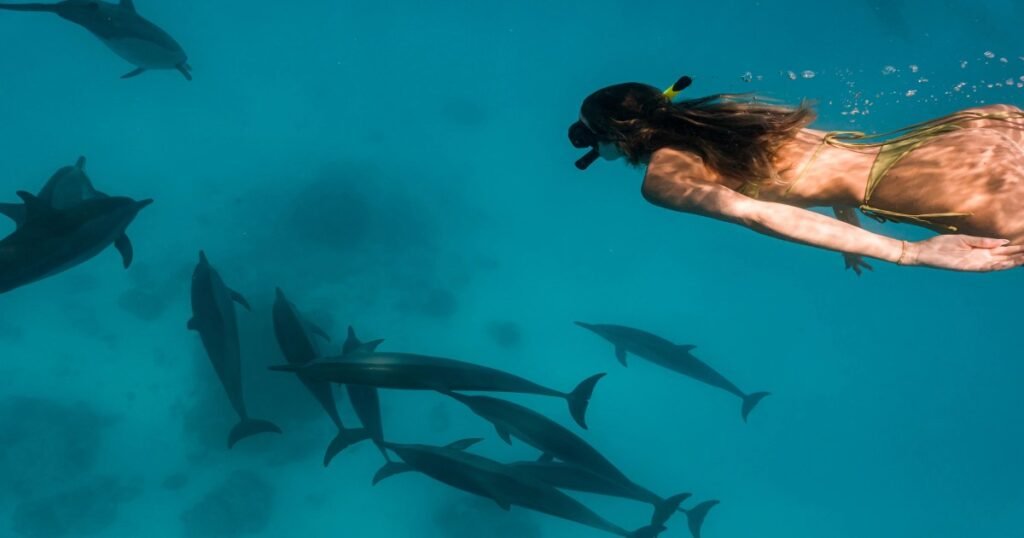 Snorkeling in Maldives