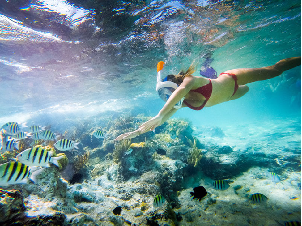 Best Maldives Resorts for Snorkeling