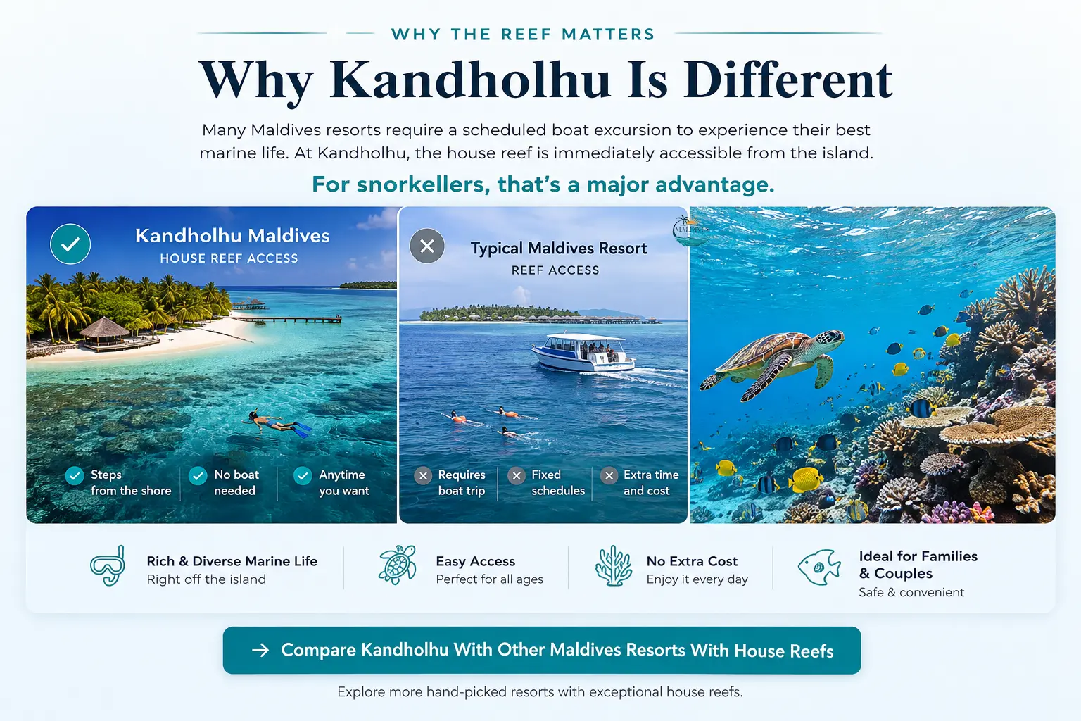 Why Kandholhu Maldives is different: accessible house reef and snorkeling